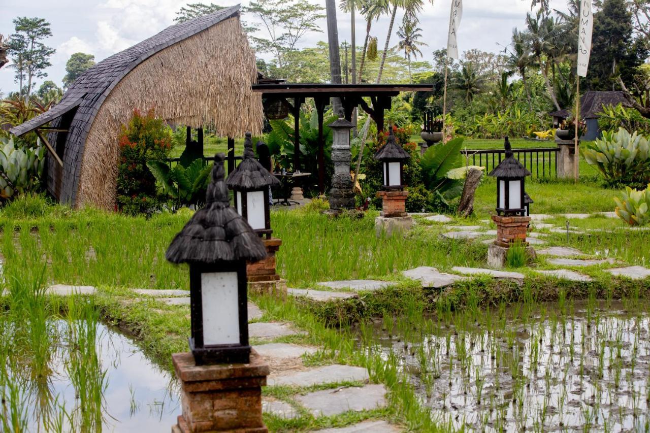 Anumana Village Ubud Eksteriør billede
