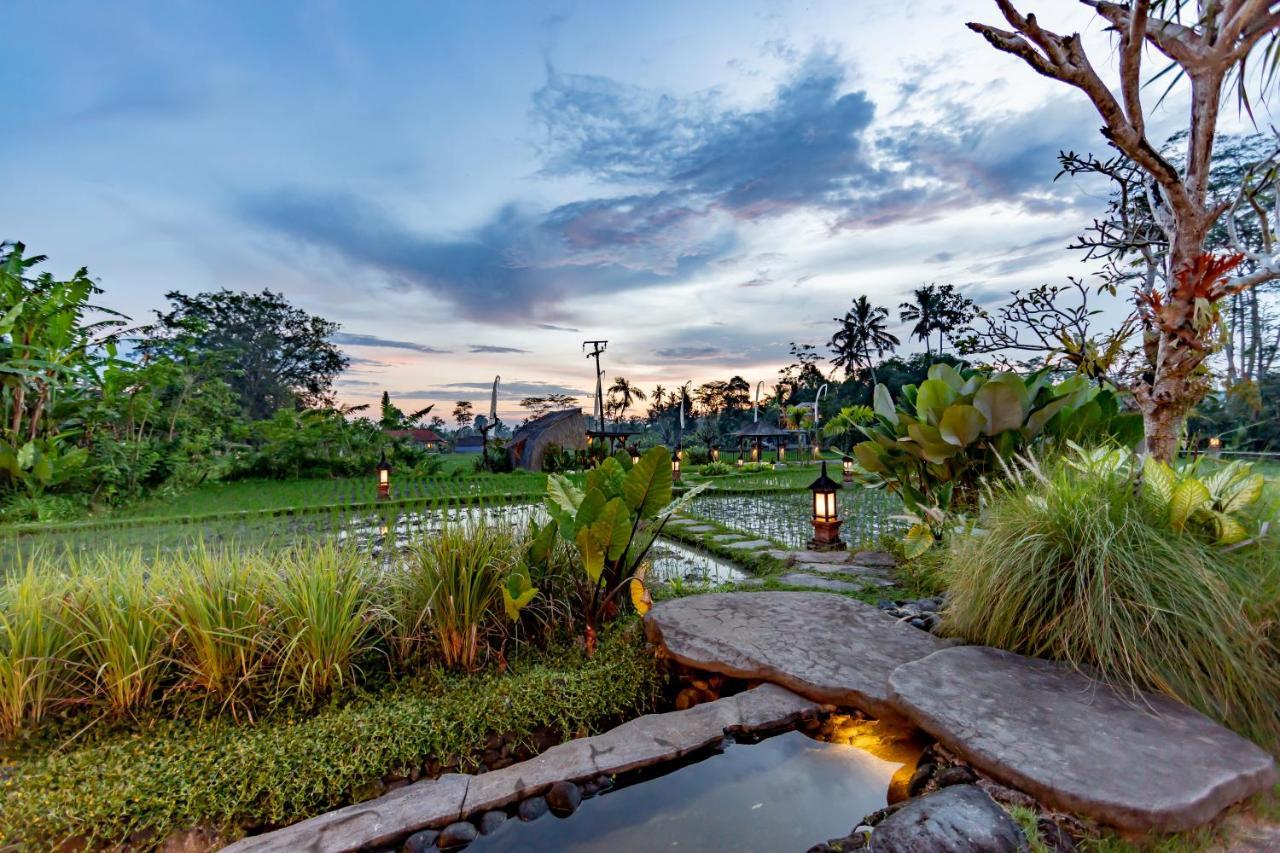 Anumana Village Ubud Eksteriør billede